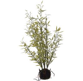 MOSS BASE BAMBOO 65CM GREEN