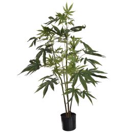 ARALIA PLANT 95CM GREEN