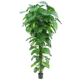 SPLIT PHILO TROPICAL 225CM GREEN