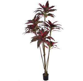 DRACEANA PLANT 210CM RED