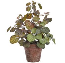 LEAVES BUSH IN POT 32CM GREEN PINK
