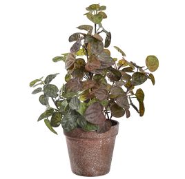 LEAVES BUSH IN POT 38CM GREEN PINK