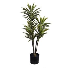 DRACENA PLANT 90CM IN POT WHITE GREEN