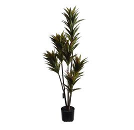 DRACENA PLANT 125CM IN POT GREEN
