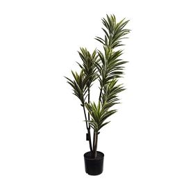 DRACENA PLANT 125CM IN POT WHITE GREEN