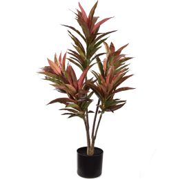 CORDYLINE PLANT 90CM RED