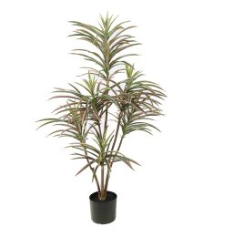 DRACENA MARGINATA 120CM GREEN