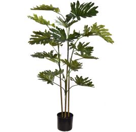 FLOOR PLANT 135CM SELLUM PHILO