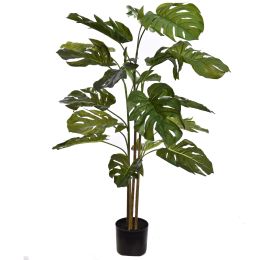 FLOOR PLANT 135CM SPLIT PHILO