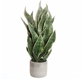 SANSEVERIA IN CEMENT POT 65CM GREEN YELLOW