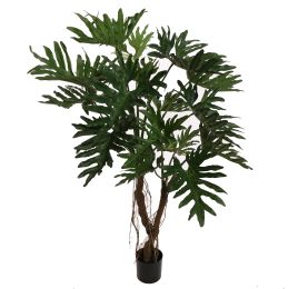 PHILODENDRON SELLOUM TREE 150CM GREEN