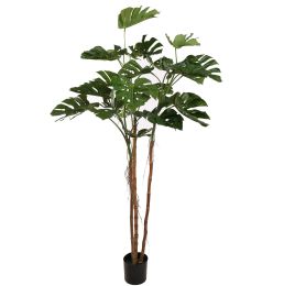 SPLIT PHILO PLANT 210CM GREEN