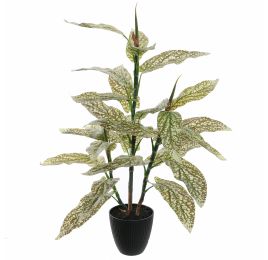 SPECKLE PLANT 75CM GREEN