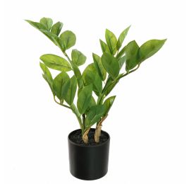 ZAMIFOLIA PLANT 33CM GREEN