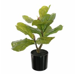 FIDDLE LEAF PLANT 35CM GREEN