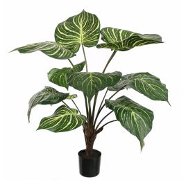 ZEBRA PLANT 90CM GREEN