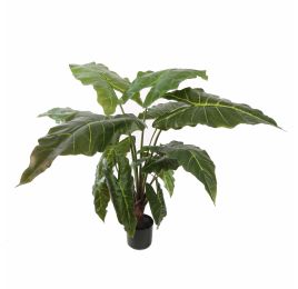ALOCASIA PLANT 90CM GREEN