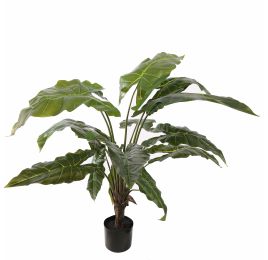 ALOCASIA PLANT 100CM GREEN