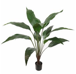 SPATHIPHYLLIUM PLANT 100CM GREEN