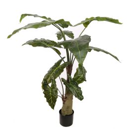 ALOCASIA PLANT 120CM GREEN