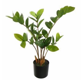 ZAMIFOLIA PLANT IN POT 50CM GREEN