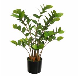 ZAMIFOLIA PLANT IN POT 70CM GREEN