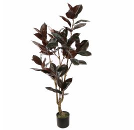 RUBBER LEAF TREE 155CM BURGUNDY