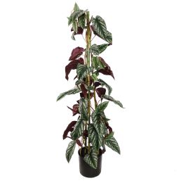 CISSUS CLIMBING PLANT 120CM GREEN