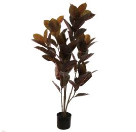 BLACK RUBBER PLANT 120CM BURGUNDY