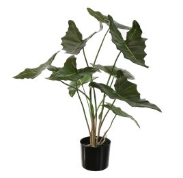 ALOCASIA 70CM GREEN
