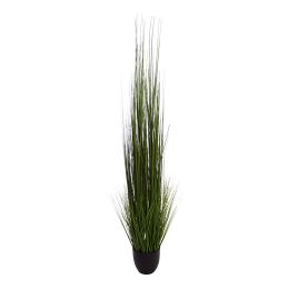 SLIM GRASS IN POT 150CM GREEN