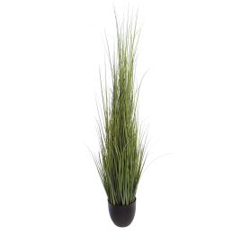 GRASS IN POT H 160CM GREEN