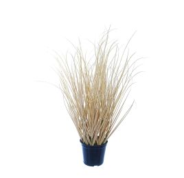 ONION GRASS IN POT 57CM BEIGE