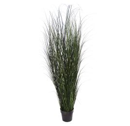 GRASS IN POT 182CM GREEN