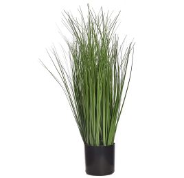 GRASS IN POT 70CM GREEN