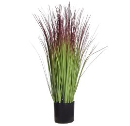 GRASS IN POT 70CM GREEN RED