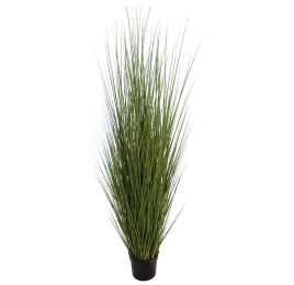 GRASS IN POT 183CM GREEN
