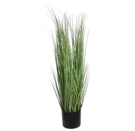 GRASS IN POT 120CM GREEN