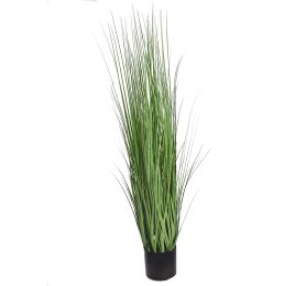 GRASS IN POT 150CM GREEN