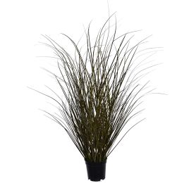 SPOTTED GRASS IN POT H 73 CM