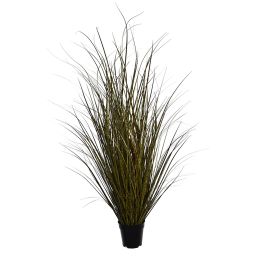 SPOTTED GRASS IN POT H 118 CM