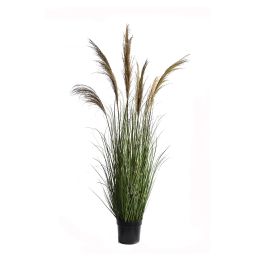GRASS W/7 REEDS 170CM GREEN