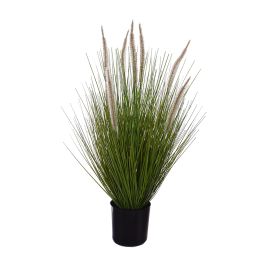 GRASS W/FOXTAIL IN POT 65CM CREAM