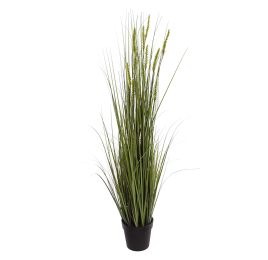 GRASS W/SLIM PLUM IN POT H 132CM GREEN