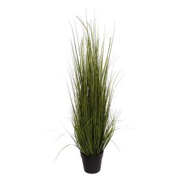 GRASS W/FOXTAIL IN POT H 127CM CREAM