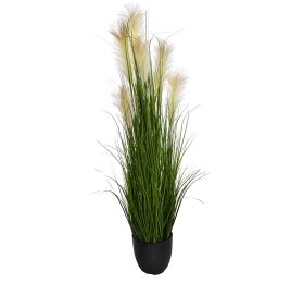 GRASS W/PLUM IN POT H 137CM CREAM