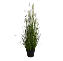 GRASS W/FOXTAIL IN POT H 90 CM CREAM