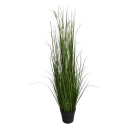 GRASS W/FOXTAIL IN POT H 135 CM CREAM