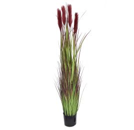 PAMPAS GRASS 150CM BURGUNDY