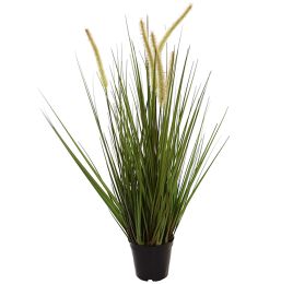 GRASS W/CATTAIL IN POT 75 CM GREEN
